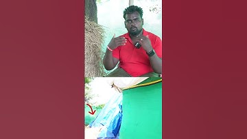 காளான் பண்ணைக்கு முதலில் shed அமைப்பது அவசியம்! #mushroom #oy #oystermushroom #mushrooms #farm #shed