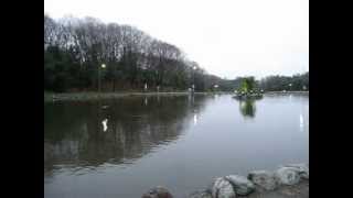 王禅寺2012・0324・1.avi