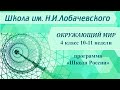 Окружающий мир 4 класс 10-11 недели. Природные зоны. Арктика. Тундра