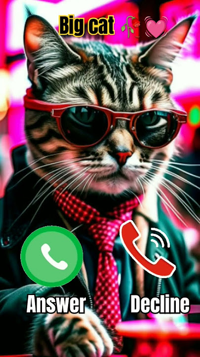 #ringtone #nadaderingtelepon #smartphone #ringtones #bgm #music #smartphoneringtones #cat