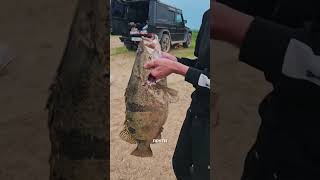 Глубины Дальнего Востока скрывают настоящих монстров