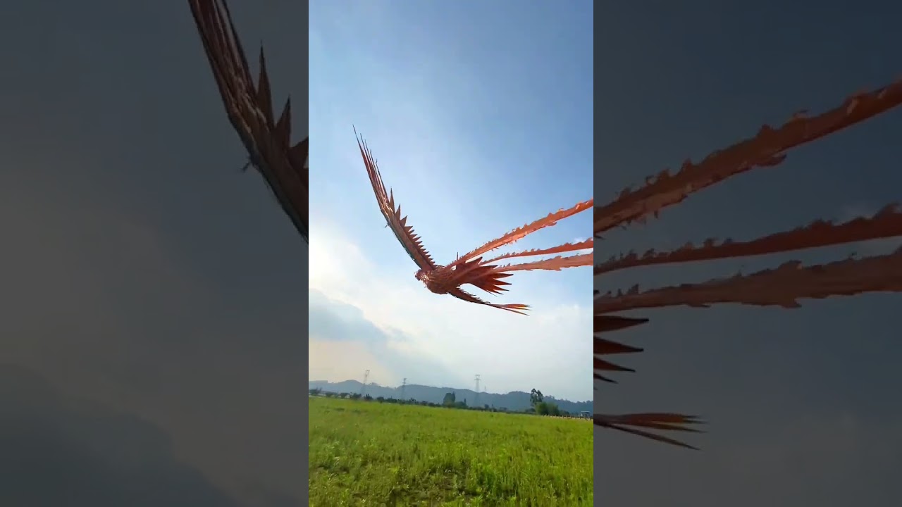 Flying Phoenix aircraft from China