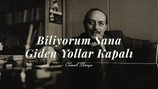 Cemal Süreya | Biliyorum Sana Giden Yollar Kapalı Resimi