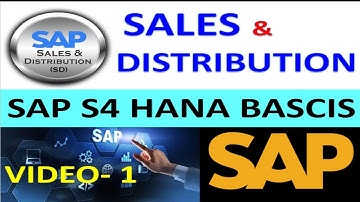 How to Configure Sales Distribution - S4HANA | Sales Distribution in Sap | DK TECHNOLOGIES