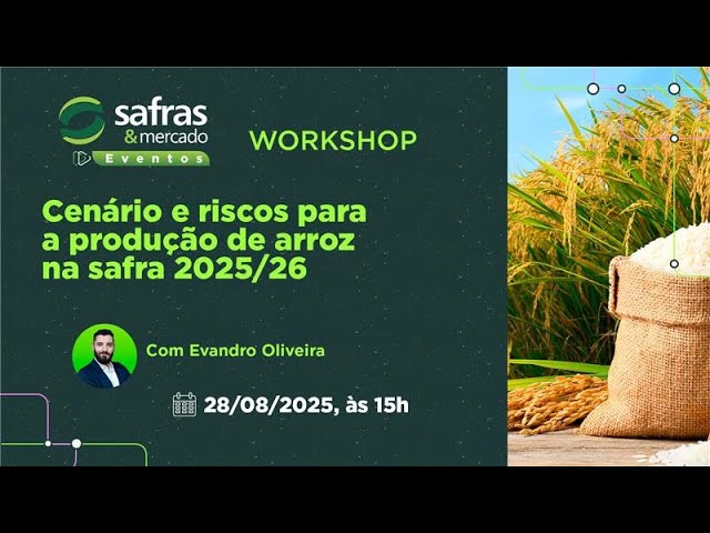 Workshop: Cenário e riscos para a produção de arroz na safra 2025/26