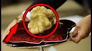 10 самых ДОРОГИХ ВЕЩЕЙ В МИРЕ / #топ10