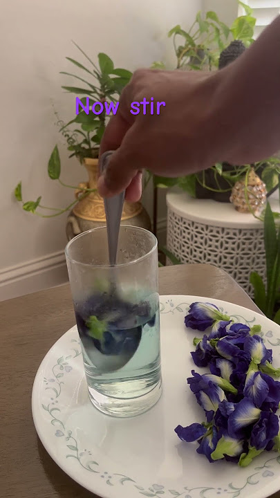 Butterfly Pea flower - Tea with health benefits(in Description)