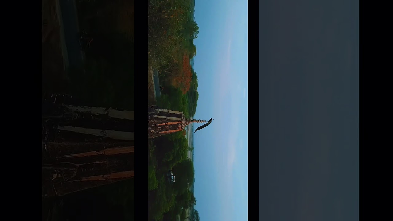 My city AURAIYA...💗✨🌍 