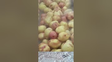 Máy rửa, cạo vỏ khoai tây của Tech Garden. Lh 0935911775 Trần Trinh.