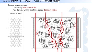 PhyNexus Dual Flow Chromatography Technology for Automated Protein & DNA Sample Prep