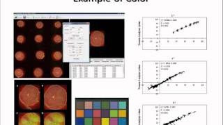 Breeding in a Genomics Era Webinar 3 of 6