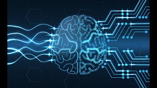 Machine Learning - abalone.csv