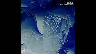 Slam - Retract (Original Mix) [Soma]