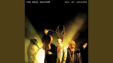 Looking at the Invisible Man