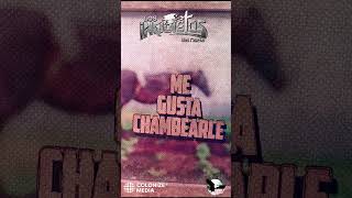 Me Gusta Chambearle #Inquietos #corridos #fyp  #losinquietosdelnorte #firme #fuerzaregida #carinleon