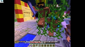 Minecraft The Herobrine on the Hive Server