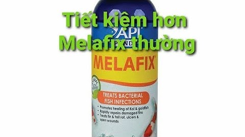 Kháng khuẩn cho cá Melafix POND