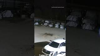 Kerrville PD searches for thieves caught on camera stealing chainsaws