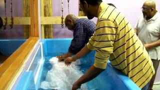 Water Baptism in Jesus Name @ Bibleway Healing Assembly 12/30/11