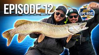 Battle for the Final: Will it be a close call in Group B again!? | YPC Boat 26 Episode 12 Information