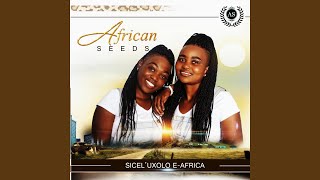 Imali instrumental
