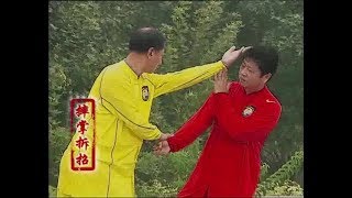 Download Lagu TONG BEI TUTORIAL - 1° LEVEL DuanWei System - Duilian and Fight Techniques - M Guan Tieyun - ITYWA MP3