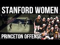 Stanford Women Princeton Offense Film Room