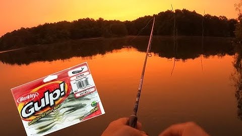 Fishing - Gulp Minnow  (What does it catch?)