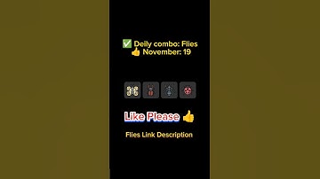 Deily combo Flies || November 19 || Flies Combo Today.