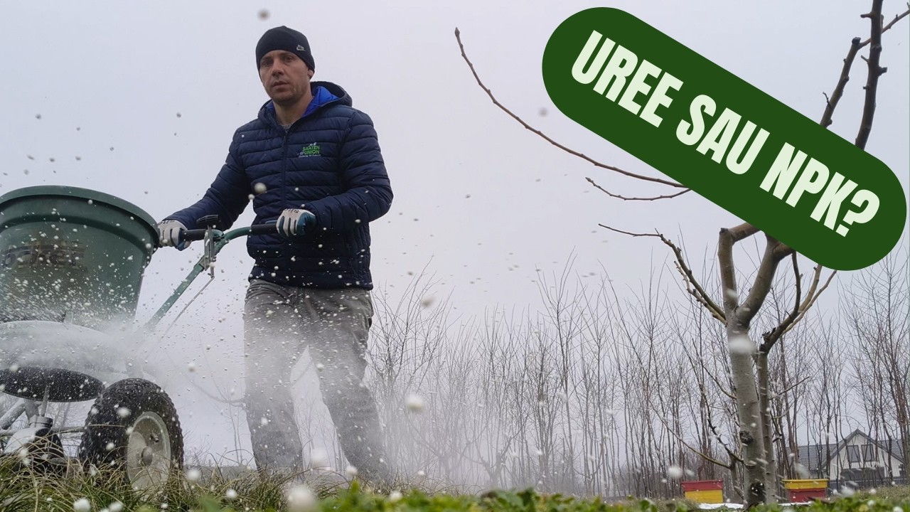 Doze uree și NPK la pomi: pornire în vegetație + covor verde dintre rânduri