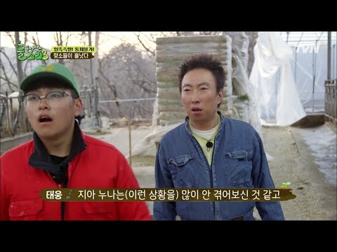 (실제상황) 농부 태웅도 놀란 통제 불가 젖소들 happyfarmers_expedition 190422 EP.4