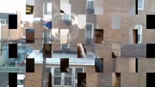 Real Life Videos Vs Round 6