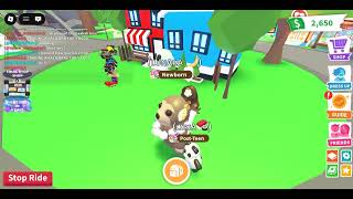 What Should I Do Next