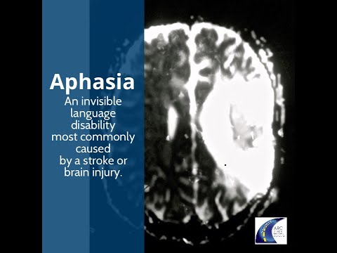 The Aphasia Recovery Connection