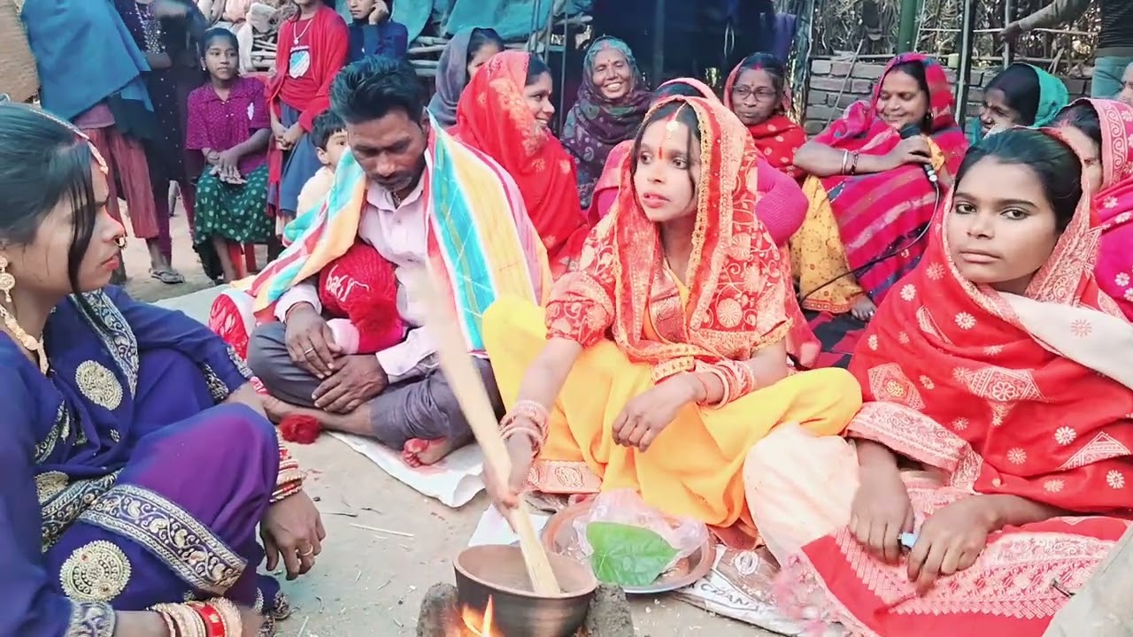 लावा भोजन का नाटक🤭🌿