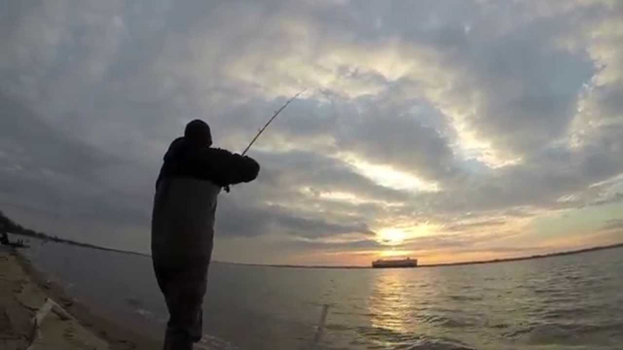 Delaware River Catfish 3/27/15