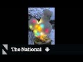 #TheMoment a Canadian farm lit up a chicken for Christmas