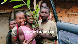 Sgp - Youth In Action