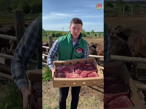Бесплатная доставка свежего мяса напрямую с фермы