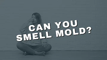 Can You Smell Mold?