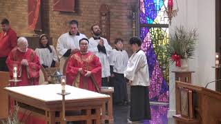 Palm Sunday of the Passion of the Lord - 03-29-2026