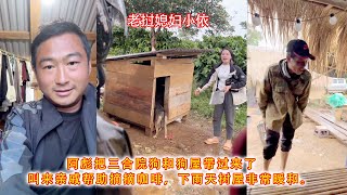 Download Lagu 阿彪把三合院狗和狗屋带过来了,叫来亲戚帮助摘摘咖啡,下雨天树屋非常暖和。 MP3 Download Lagu 阿彪把三合院狗和狗屋带过来了,叫来亲戚帮助摘摘咖啡,下雨天树屋非常暖和。 MP3