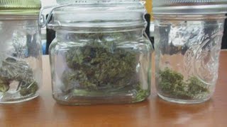 Newport News police make big drug bust