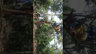 PMA PASTI JUARA JIBUNN