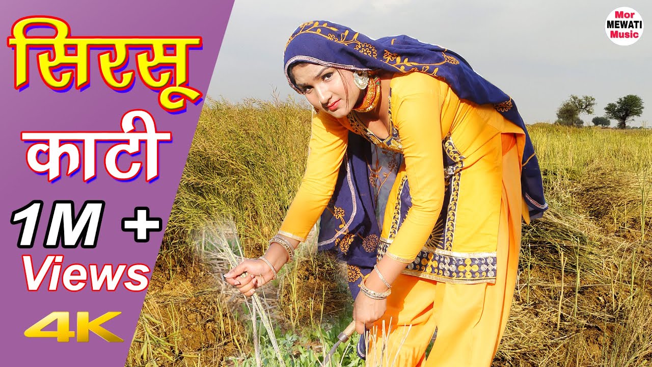Sirsu Karti सिरसू काटी (Full  Video Song) Afsana  Chanchal || New Mewati Song 2021 Mor Mewati