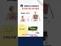 【看護師国家試験対策】呼吸に関係する筋肉についての問題解説 #看護師国家試験 #試験対策 #看護学生 #看護師 #病態生理 #呼吸 #筋肉