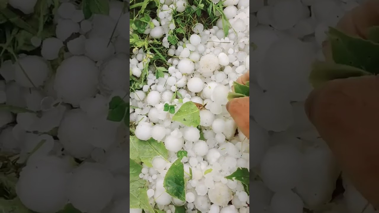 Havey hailstorm in kashmir 😥 ||