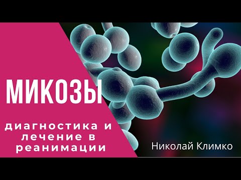 Микозы - диагностика