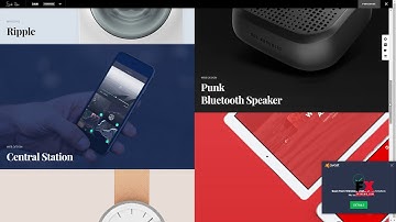 Dani - A Storming Portfolio and Shop WordPress Theme        Wally Ger