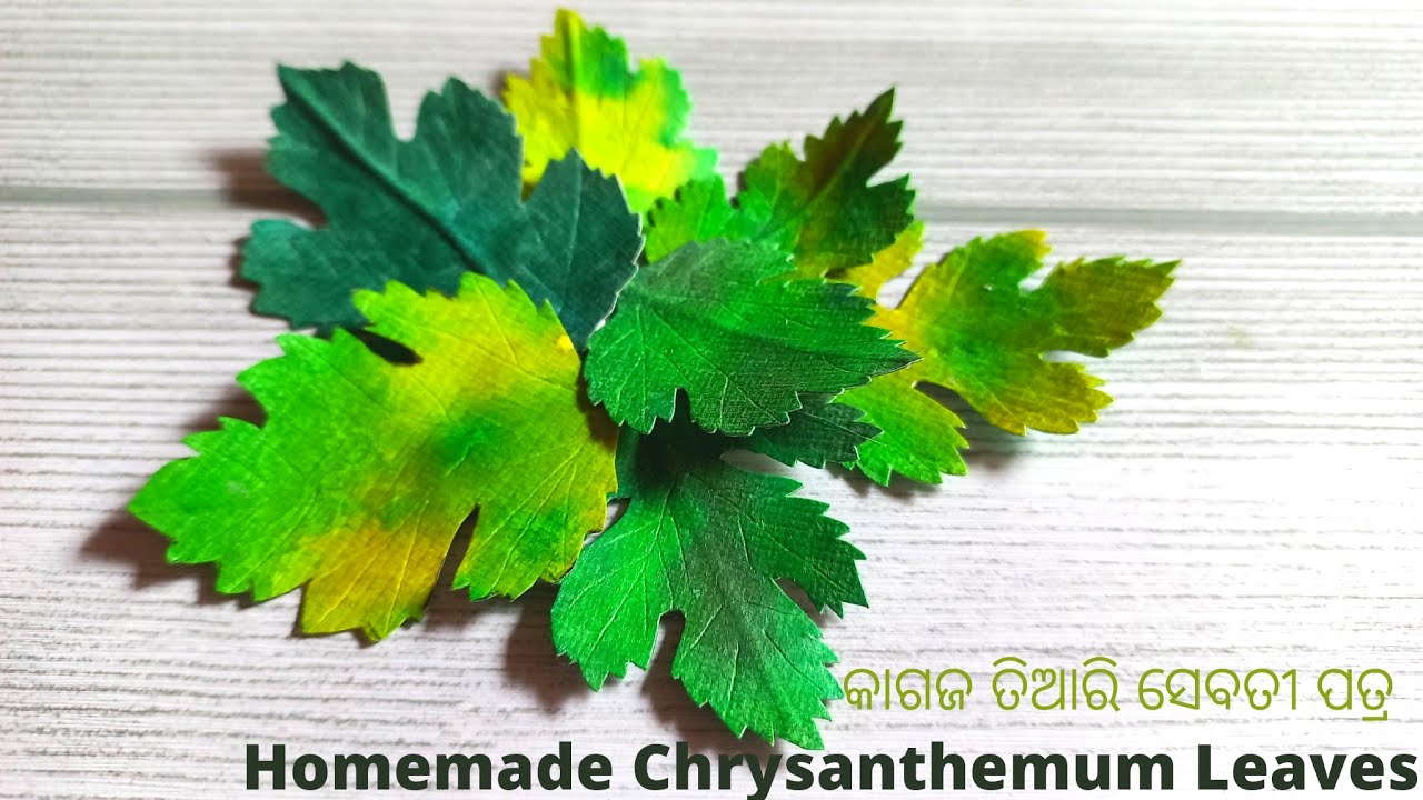 How To Make Chrysanthemum Leaves By Using Paper🌱କେମିତି ତିଆରି କରିବେ କାଗଜର ସେବତୀ ପତ୍ର🍀Papar Leaf ☘